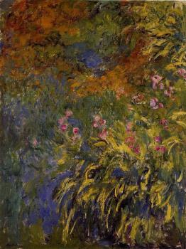 Claude Oscar Monet : Irises